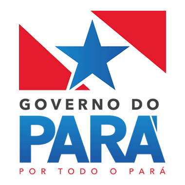 Governo do Pará